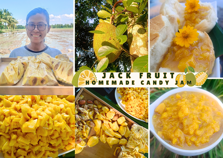 I Made Simple and Delicious Homemade Jackfruit Candy Jam from My Backyard Tree and Shared its Sweetness with Everyone Around Me