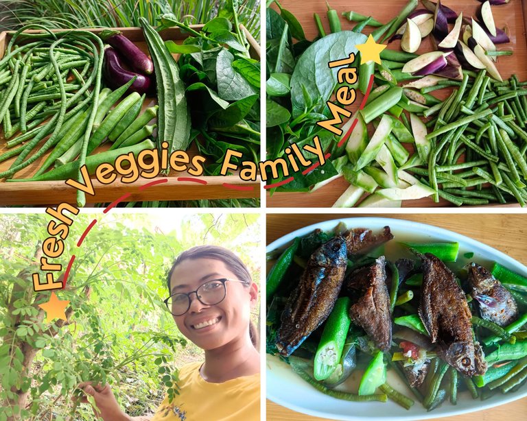 Sunday Blessing: Fresh Vegetables from My Garden and a Budget Friendly Fish Dish for the Whole Family 