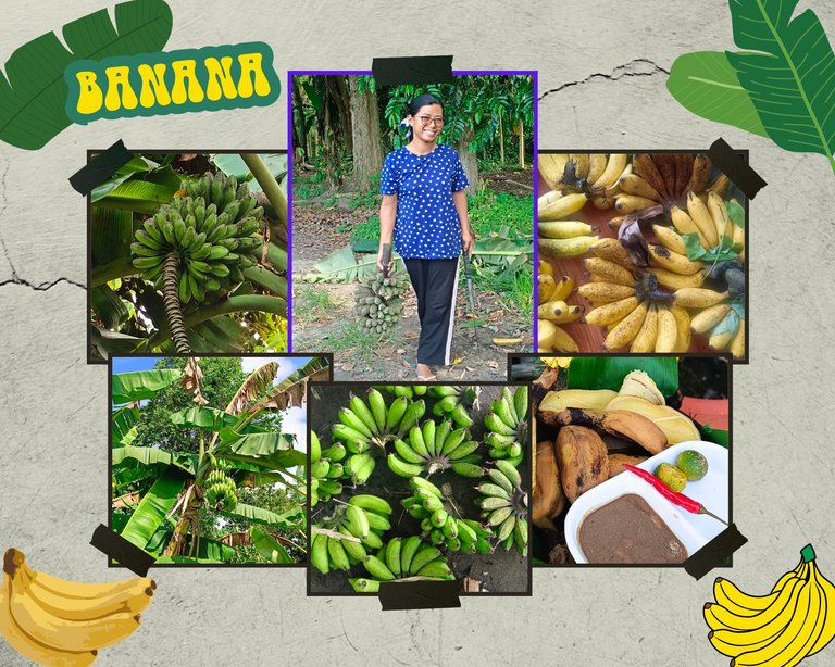 A Pandemic Garden Blessing: Banana Harvest and Finding Peace in Farming 