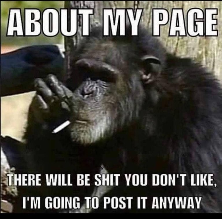 685f84f8-ac39-4649-a138-b0b225e8c4cd_1125x1112 (1).jpg