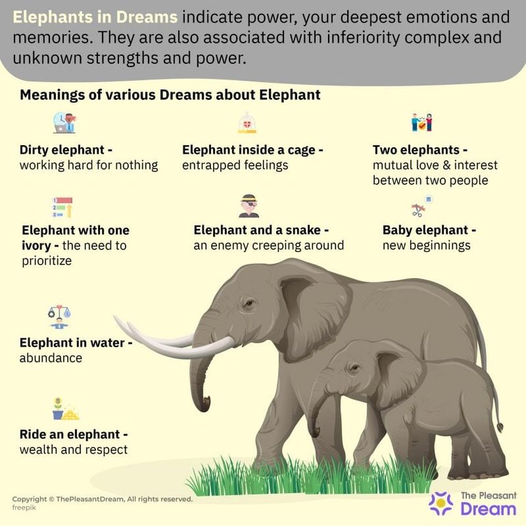 Elephants-in-Dreams-94-Types-Their-Meanings-2-800x800.jpg