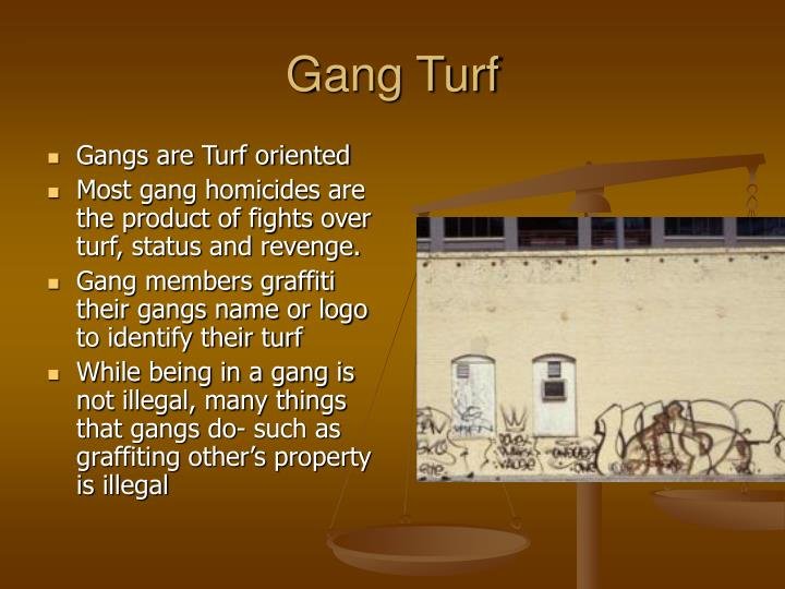 gang-turf-n.jpg