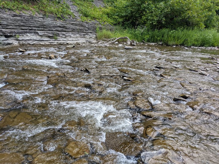 PXL_20220829_180803189.jpg