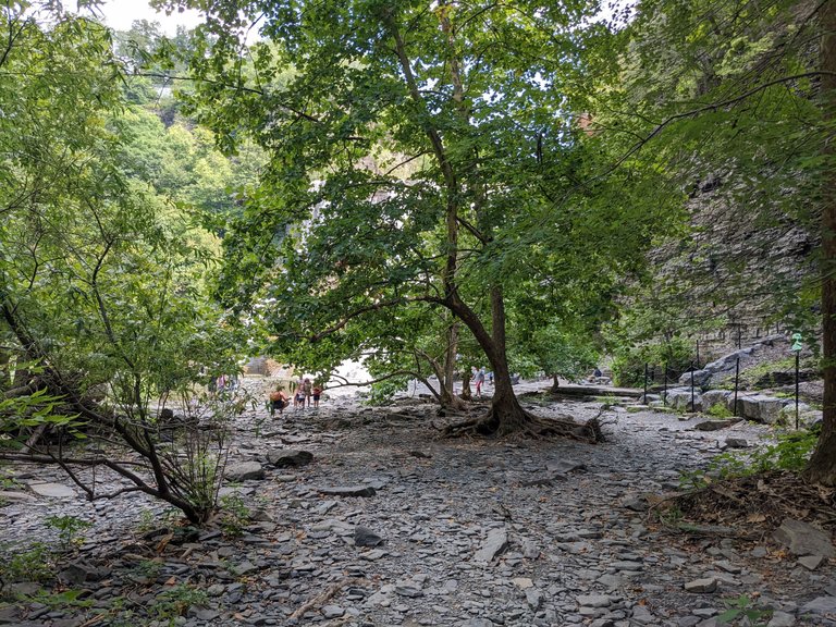 PXL_20220829_180645900.jpg