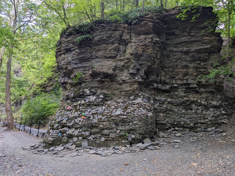 PXL_20220829_180524636.jpg