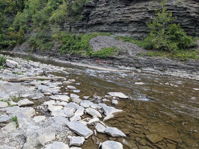 PXL_20220829_180736753.jpg
