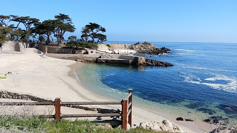 Monterey 4.jpg