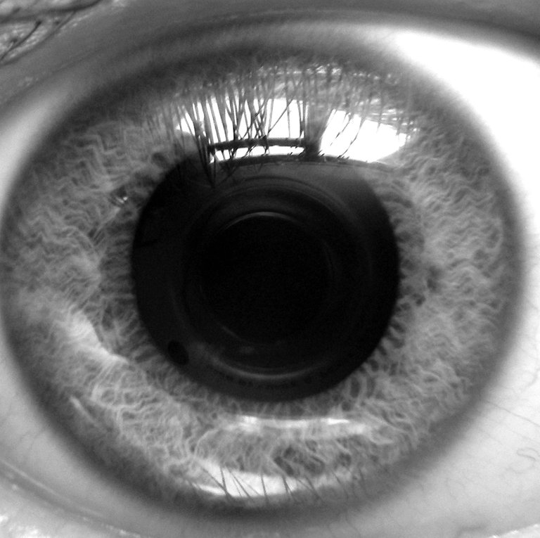 Eye_eye_-_Flickr_-_memoreks.jpg