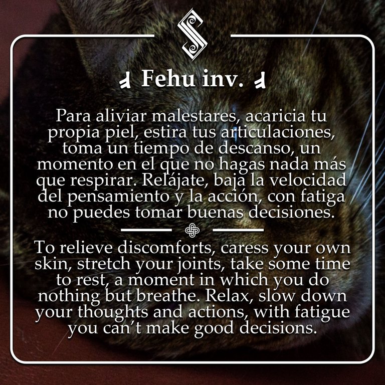 Fehu 22 07 25Artwork.jpg