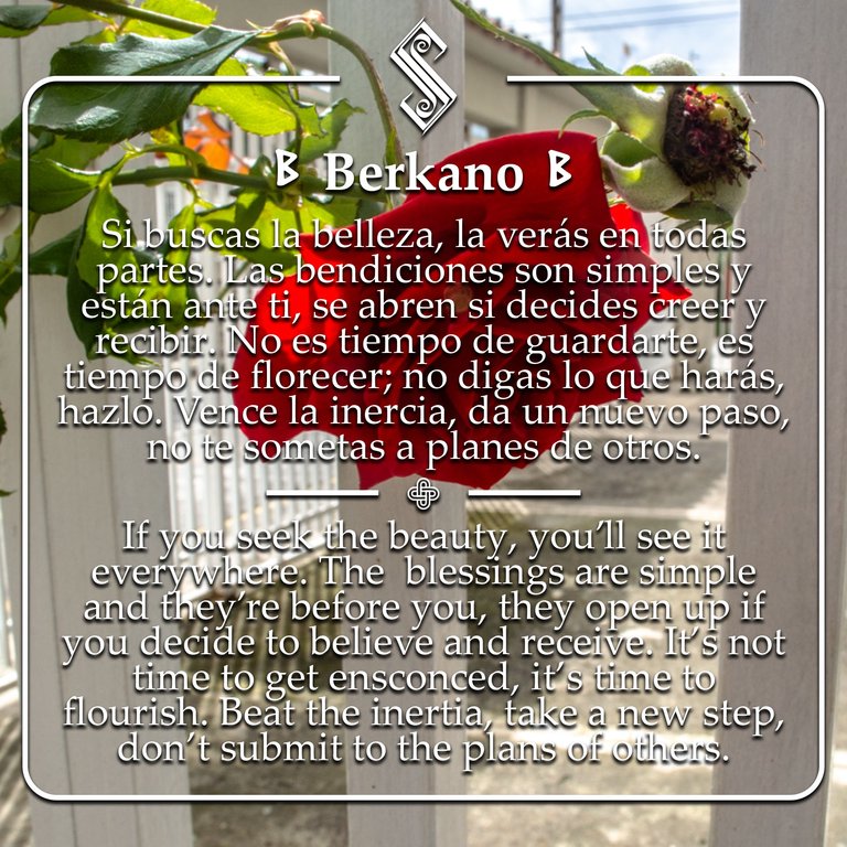 Berkano 24 06 25Artwork.jpg