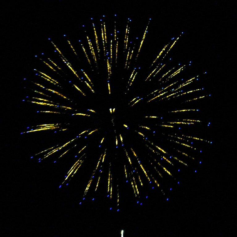fireworks 4.jpg