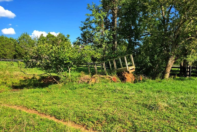 field with bridge.jpg