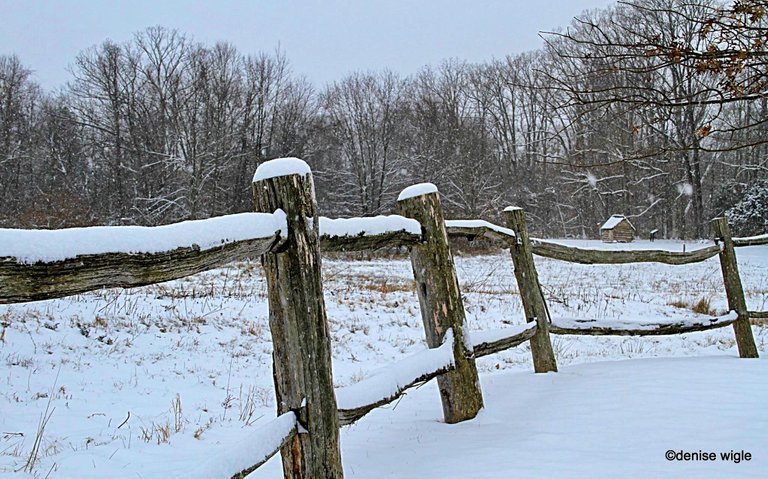 winter fencing.jpg