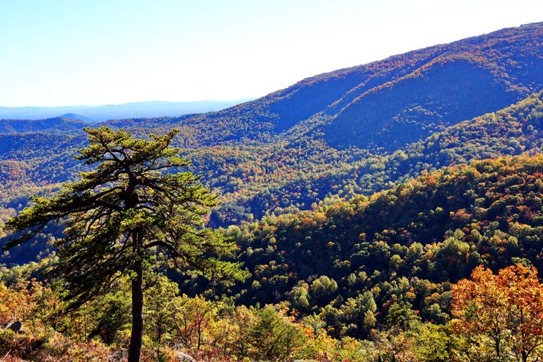 0P2A9116 skyline Drive.JPG