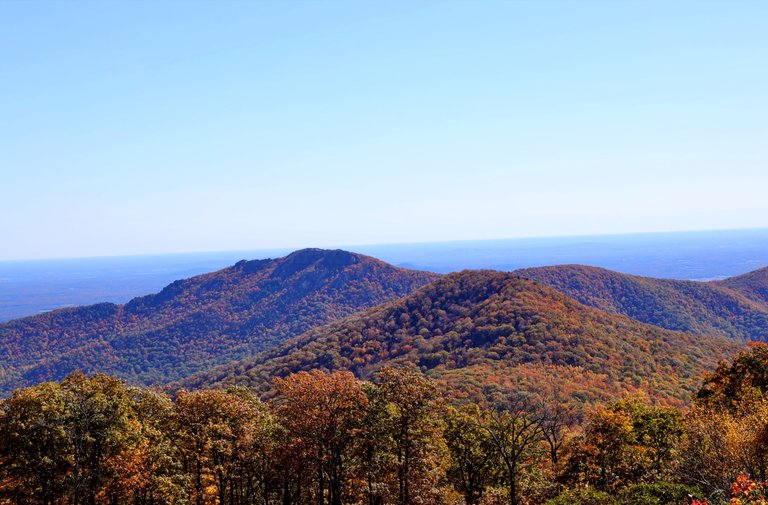 0P2A9070 Skyline Drive.JPG