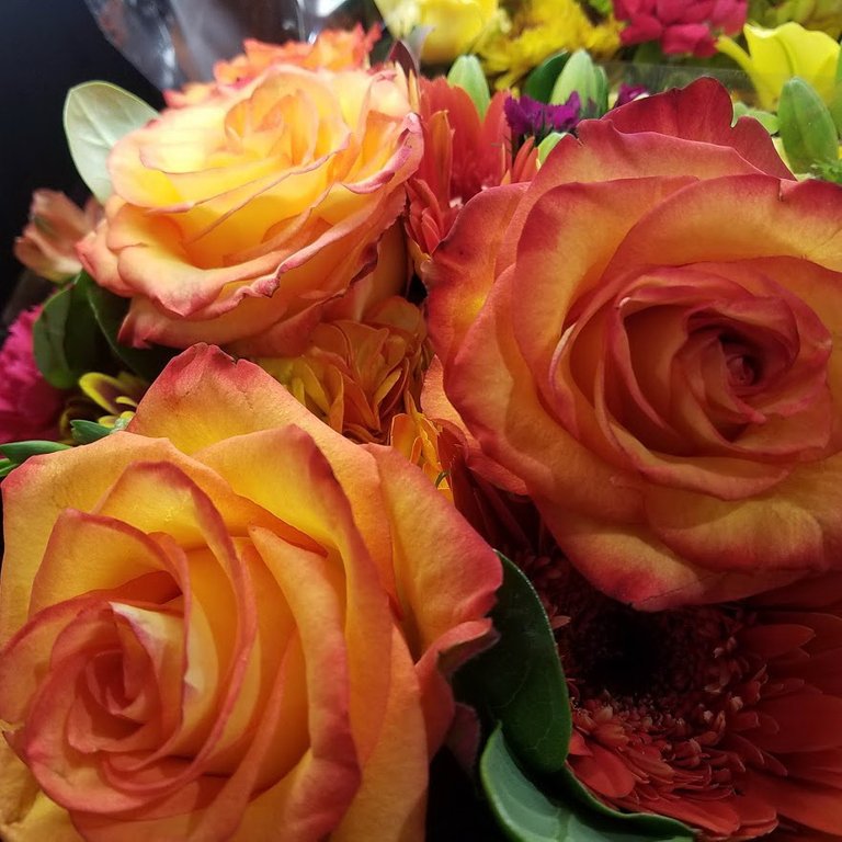 20201125_072427 roses.jpg