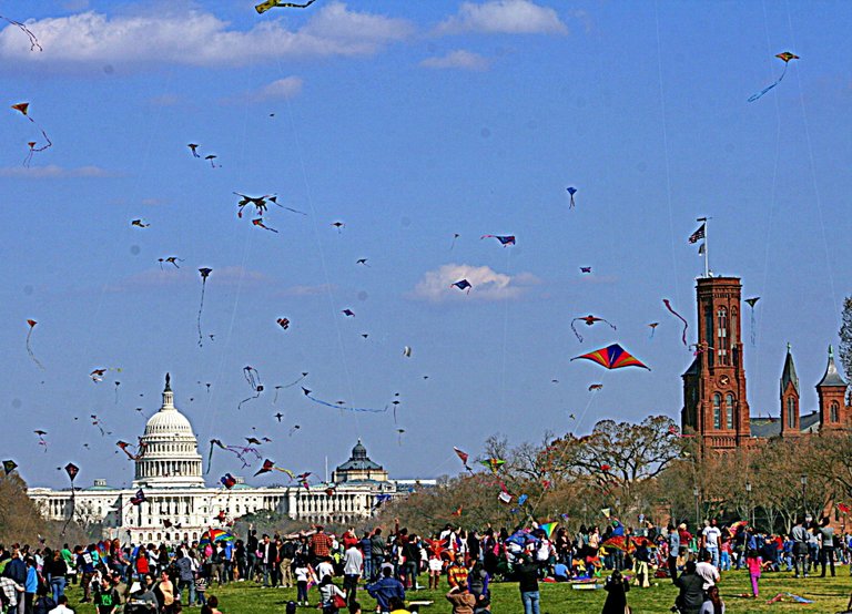 capitol with kites.jpg