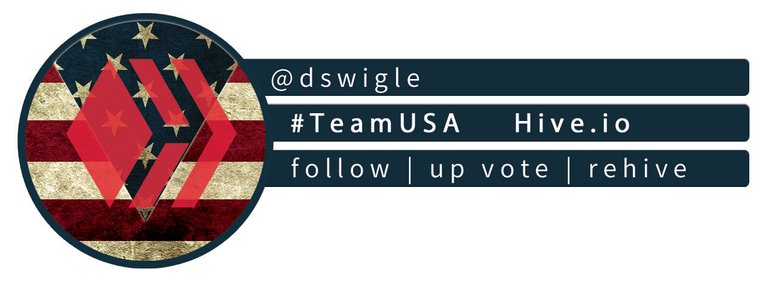 TEAMUSAhive_dswigle 2  Copy.jpg