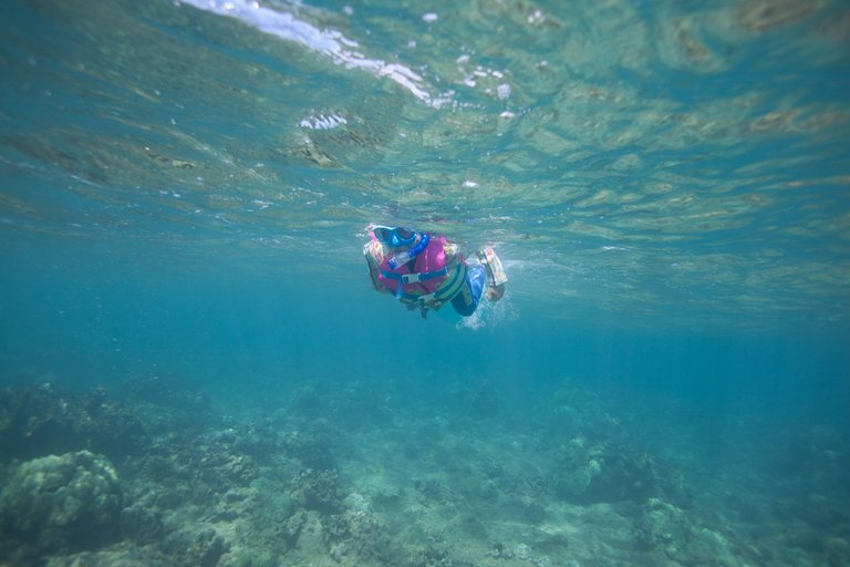 Maui Snorkel April 2025 (16 of 45).jpg