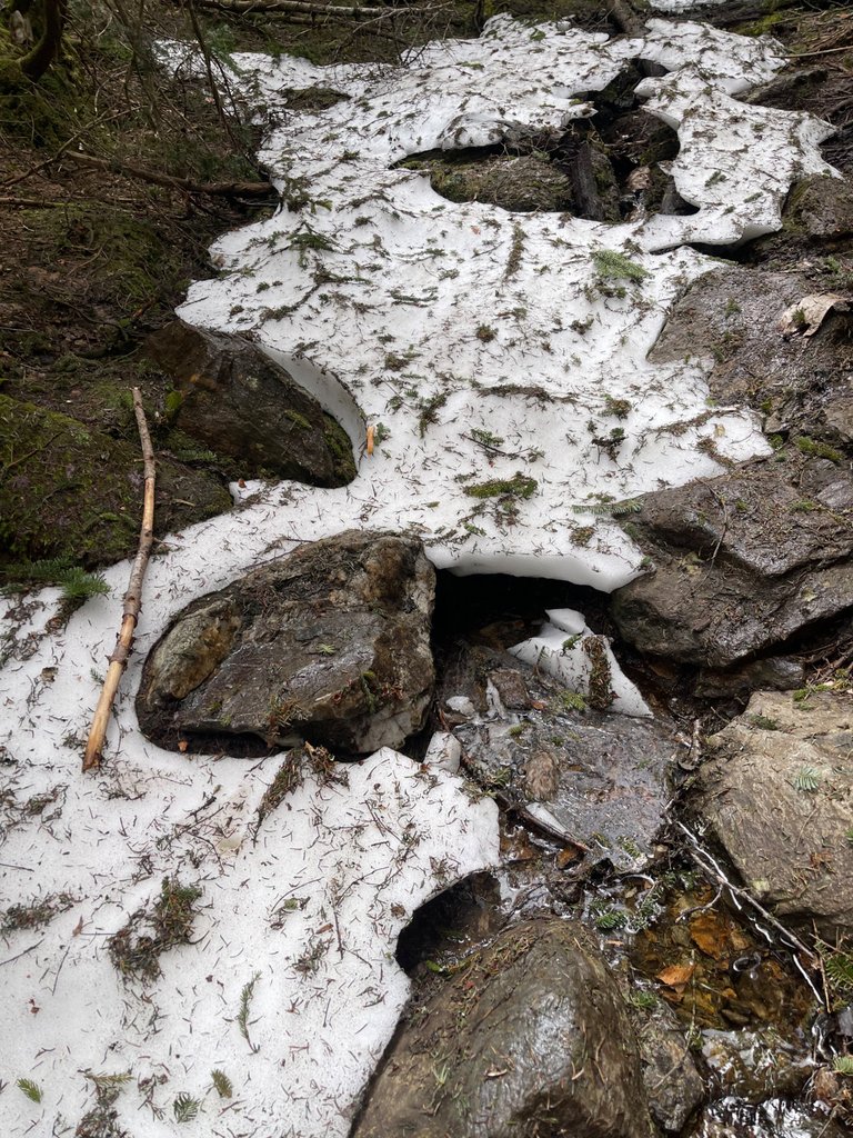 IMG_1708.jpeg