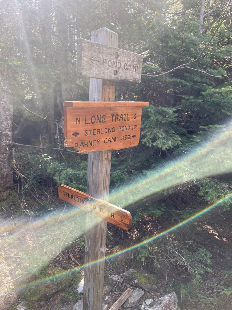 IMG_1672.jpeg