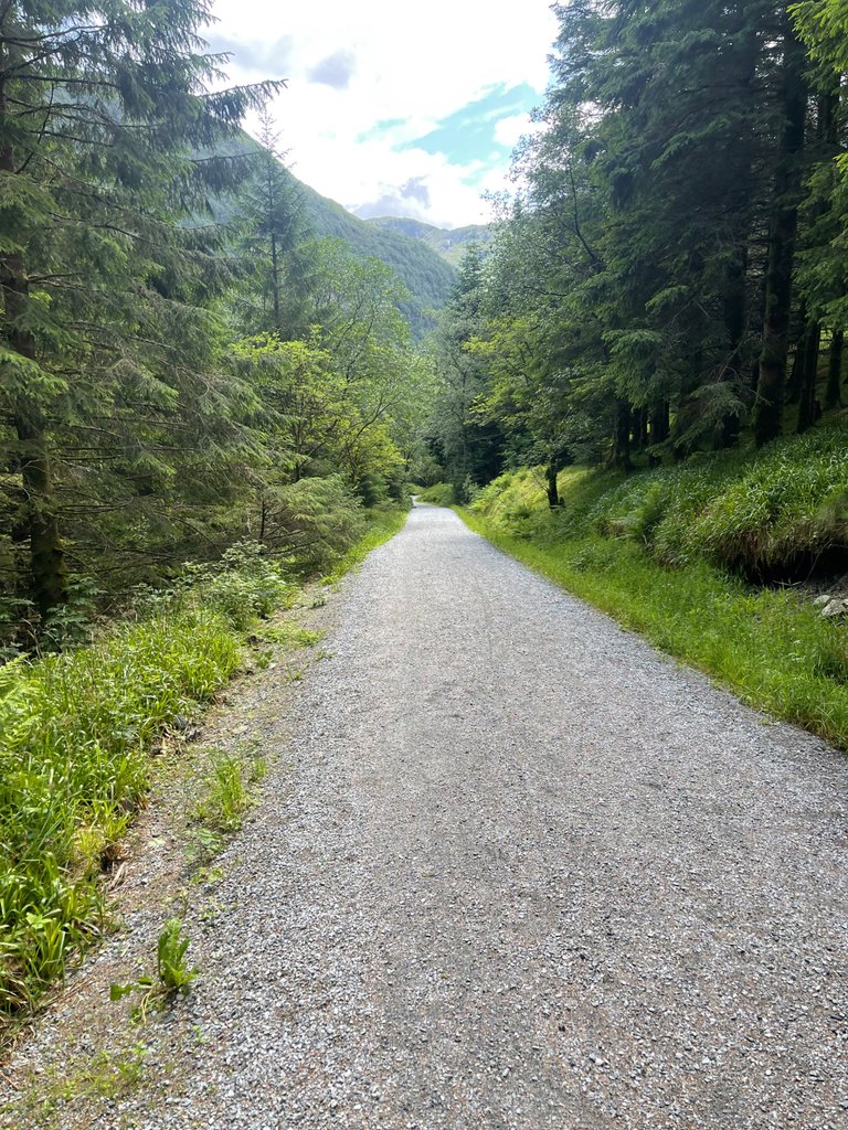 IMG_4770.jpeg