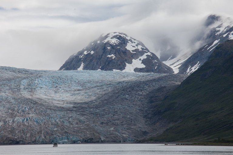 GlacierBayII (42 of 43).jpg