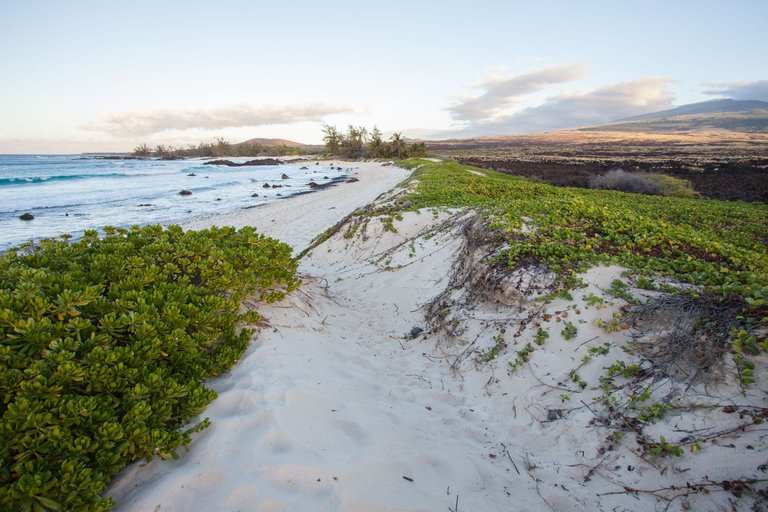 MakalevenaBeach (39 of 52).jpg