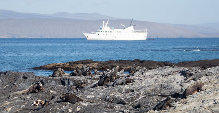 Day 2 Galapagos PM (22 of 48).jpg