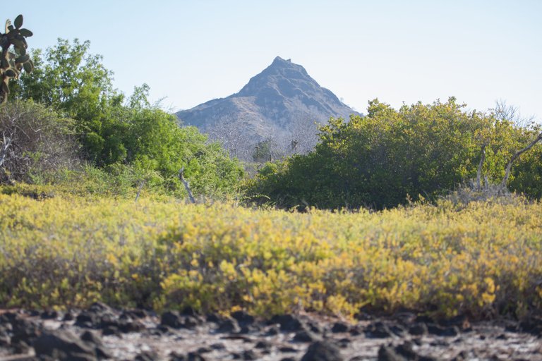 Day 4 Galapagos Dragon Hill (7 of 29).jpg