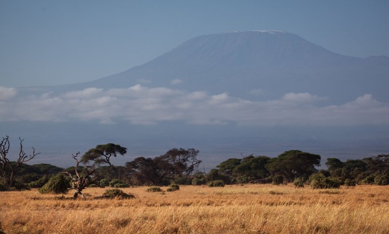 Day6 EarlyGameDriveAmboseli (52 of 63).jpg