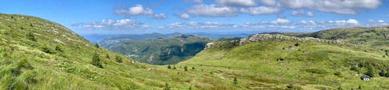 IMG_4757.jpeg