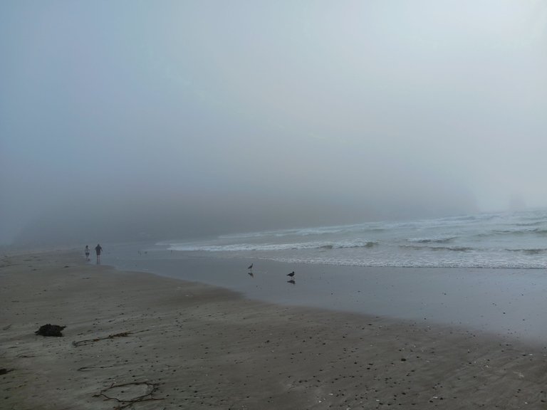 Morro Rock Beach