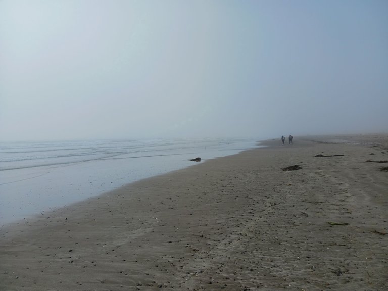 Morro Rock Beach