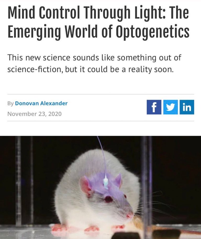 optogenetics.jpg