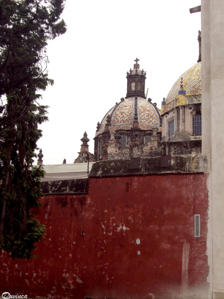 DSC01586.JPG