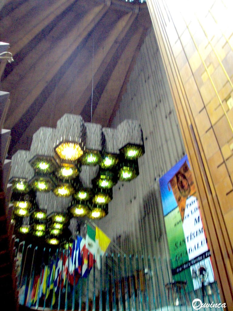 DSC01667.JPG