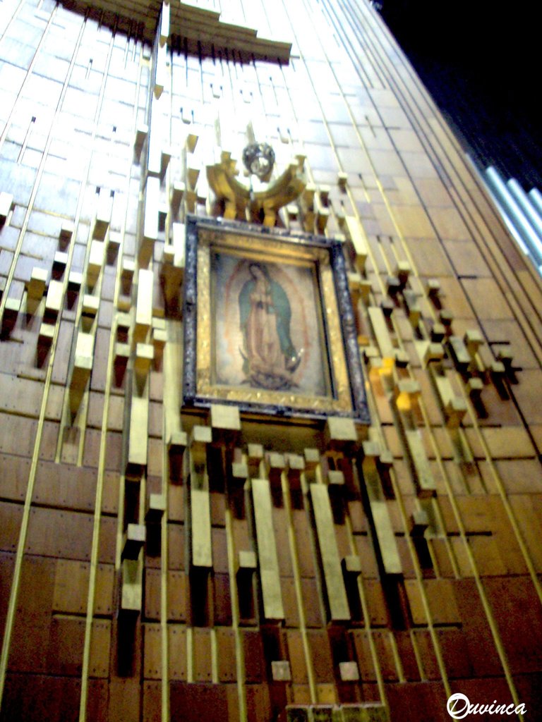 DSC01666.JPG