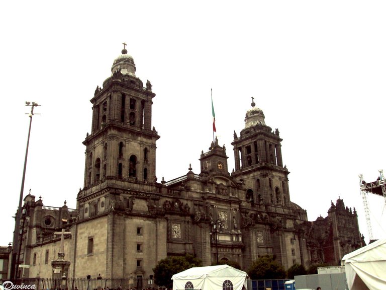 DSC01490.JPG