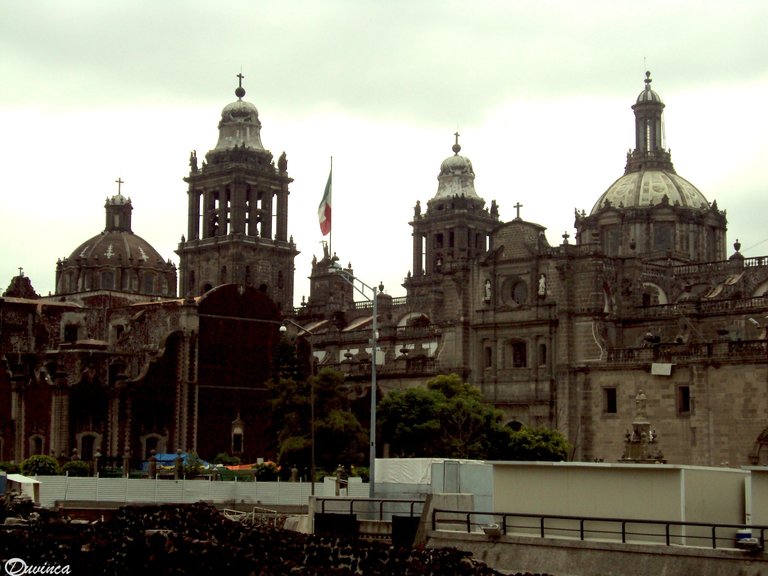 DSC01504.JPG