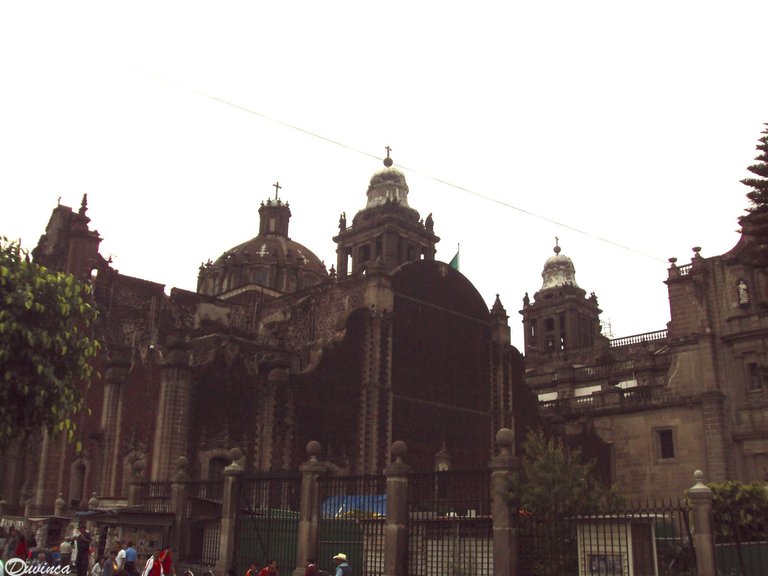 DSC01495.JPG