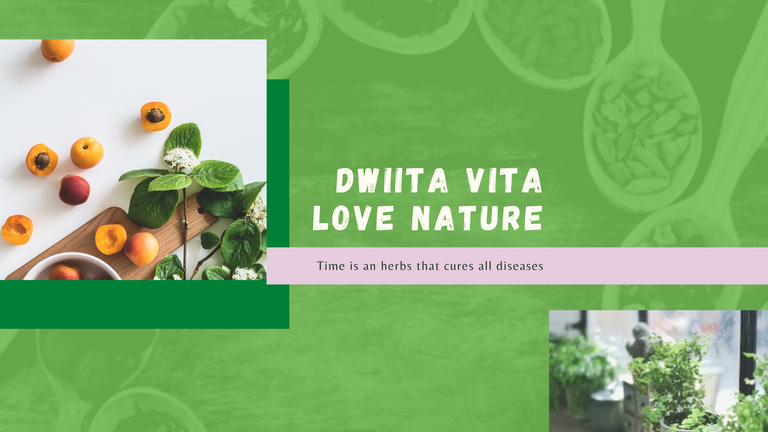 Dwiita Vita love Nature.png
