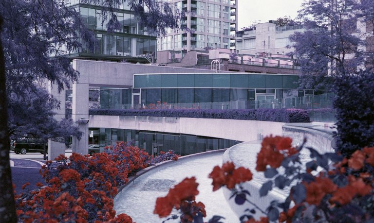 LomochromePurple_035.jpg