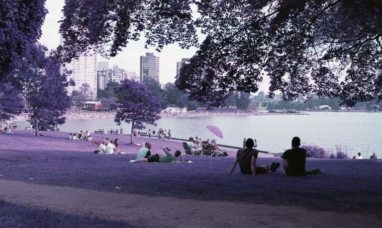 LomochromePurple_048.jpg