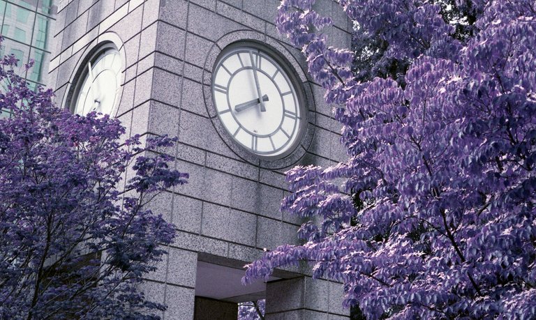 LomochromePurple_034.jpg