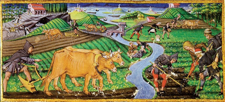 Agriculture at the beginning of the 15th century. Biblioteca Ricciardiana, Florence.