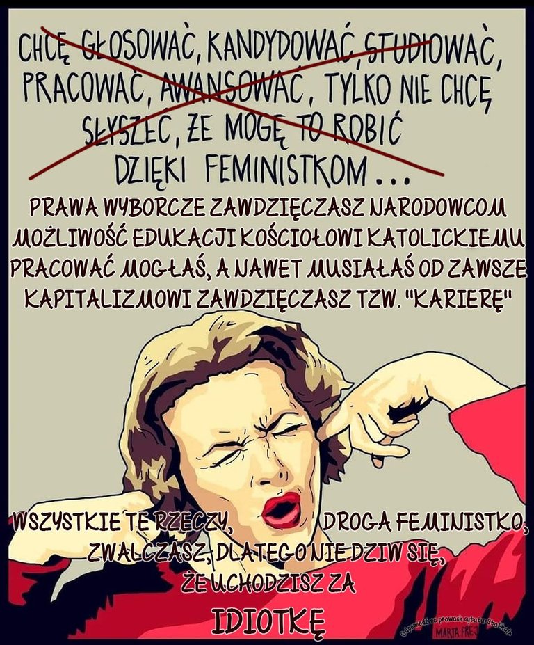 zawdzieczam feministkom.jpg