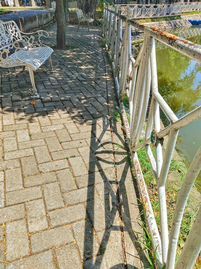 1000074424.jpg