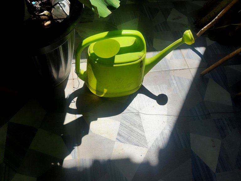 20241128_111146-01.jpeg