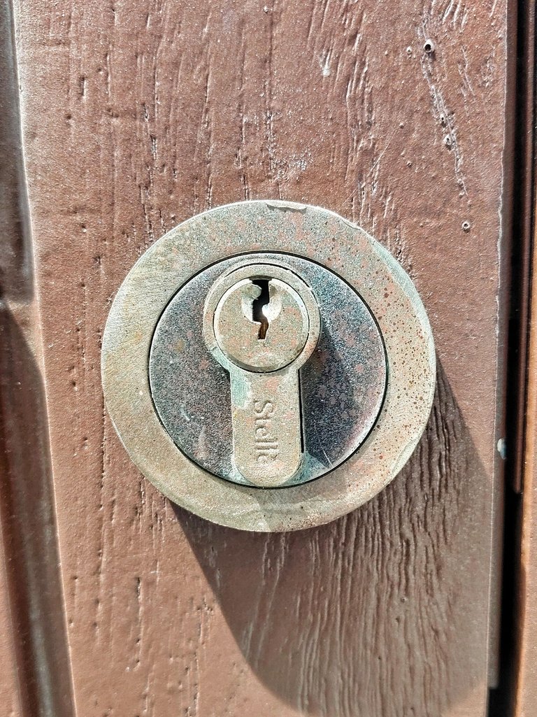1000071370.jpg